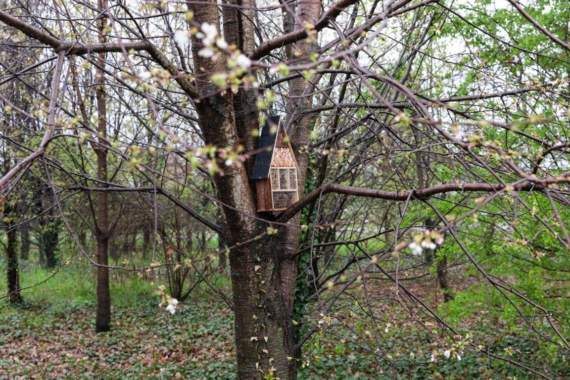 biodiversità