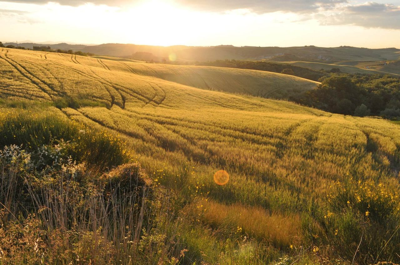 Aziende esposte ai rischi derivanti dal deterioramento del capitale naturale