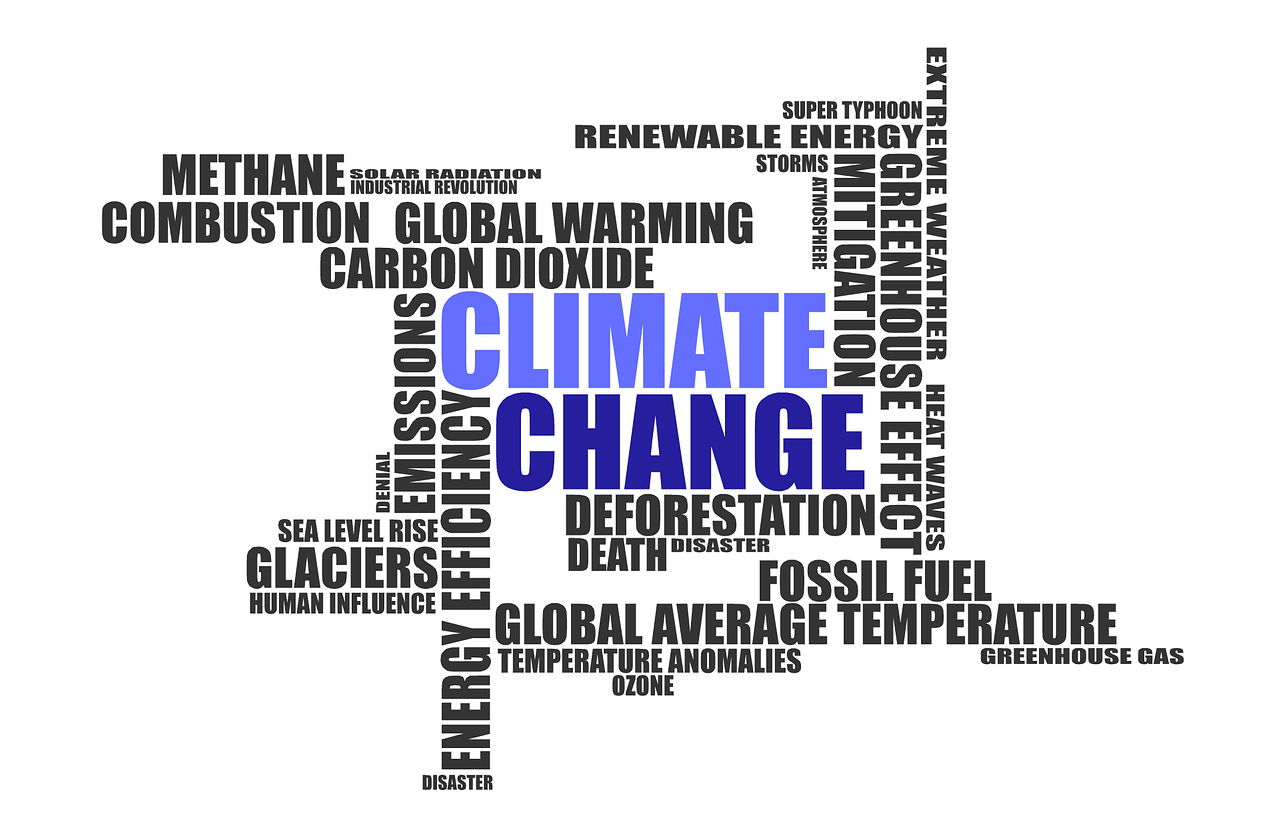 Strumenti di Governance e Reporting climatici:  TCFD (Task Force on Climate-related Financial Disclosures)