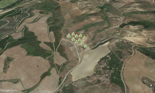 Forestazione CONAD 13 aprile 2023 a Corigliano Rossano: indicazioni geografiche ed operative