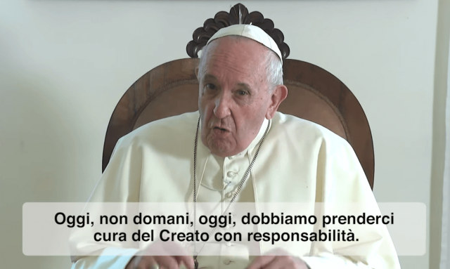 Cura del Creato: le parole di Papa Francesco