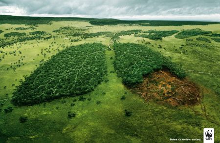 Deforestazione (cambiamenti climatici, biocarburanti, agricoltura)