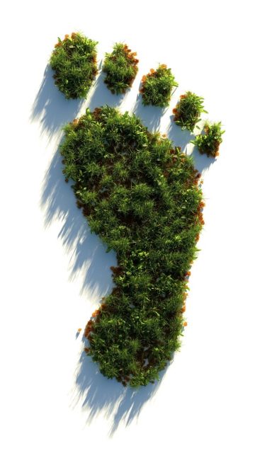 Scope 4: le emissioni di gas serra evitate
