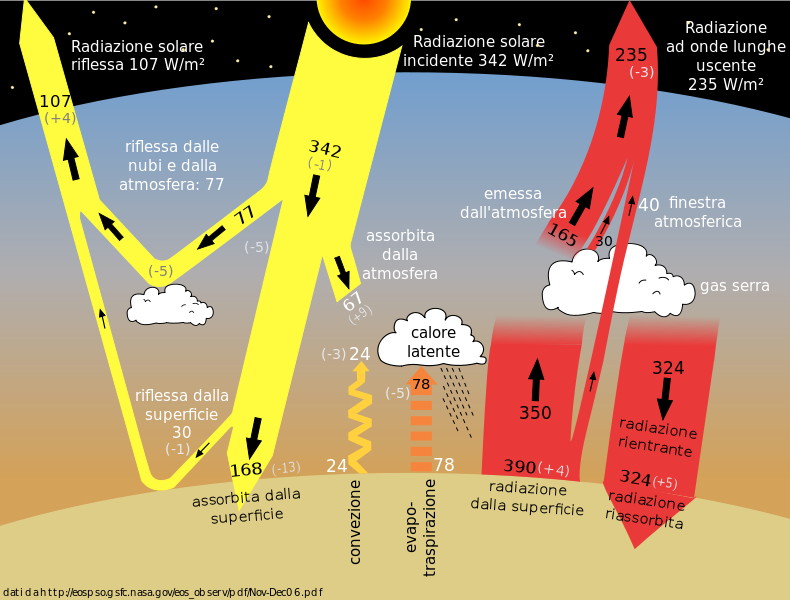 carbon sink