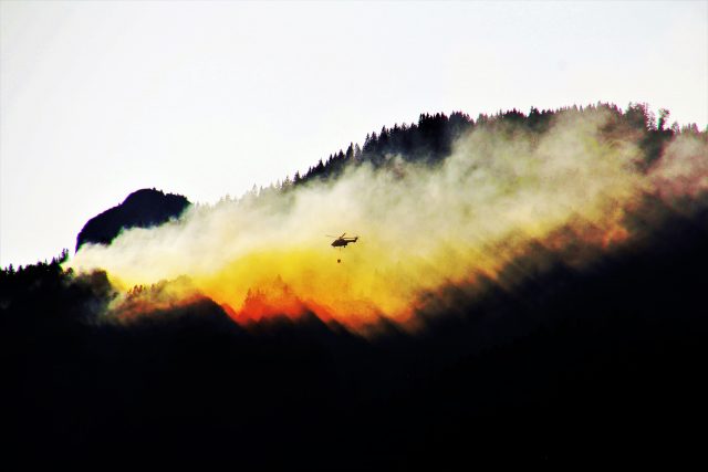 Prevenzione degli incendi boschivi attraverso la gestione forestale sostenibile certificata