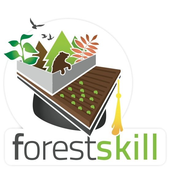 Concorso Forest Skill: siamo i vincitori con il progetto FELCE
