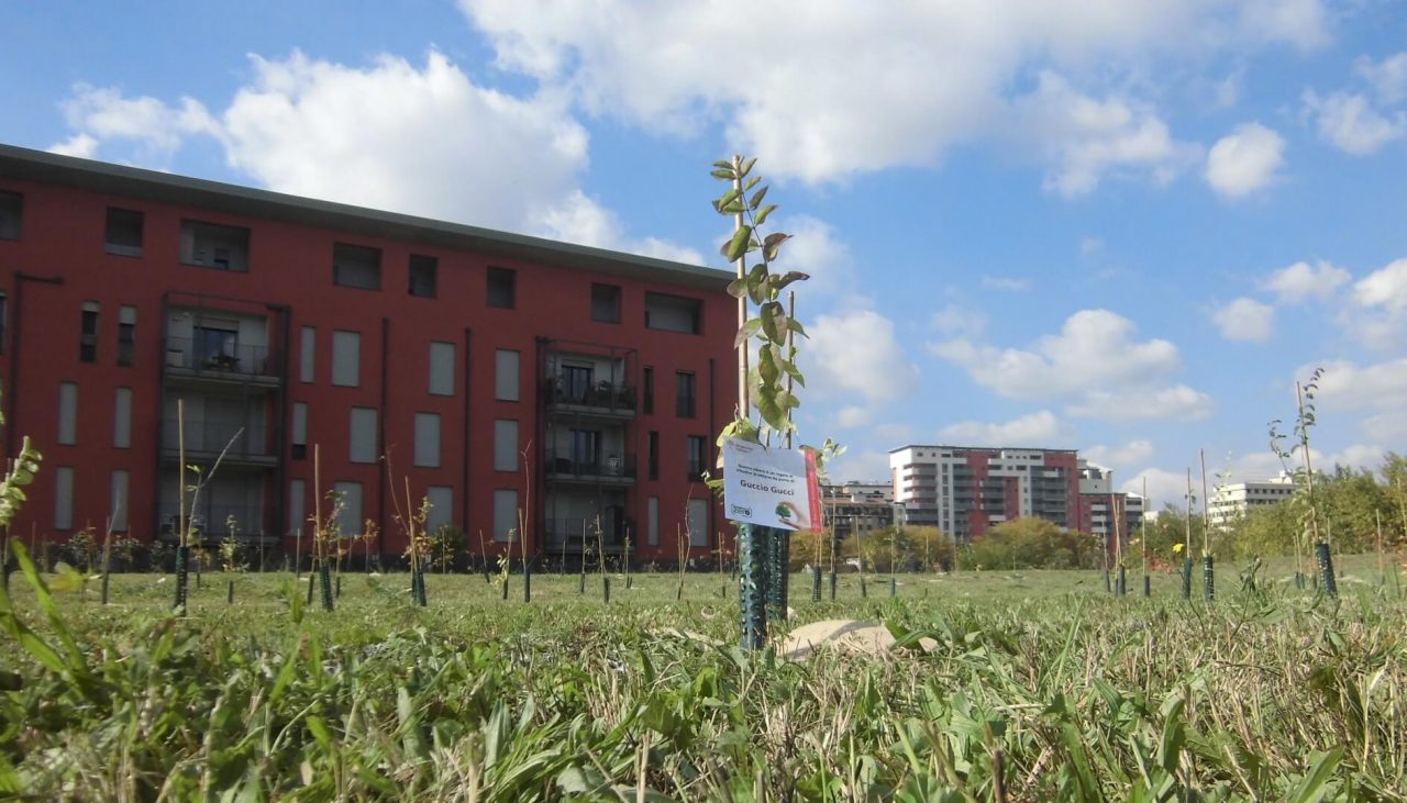 Forestazione Italiana®: un Protocollo tecnico forestale per promuovere la natura in Italia