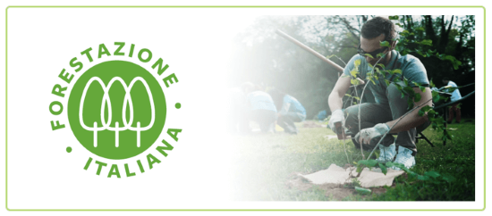 Questa immagine ha l'attributo alt vuoto; il nome del file è forestazione-italiana-rete-clima-banner.png