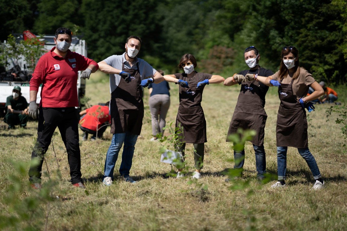 Alberi a Milano: ancora una volta, ancora insieme. Per una #ripresagreen post COVID-19 – #ForestaMI