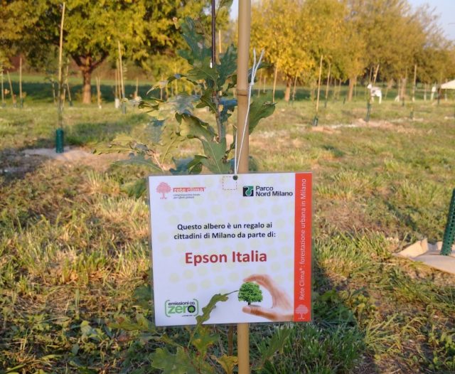 La forestazione urbana fa bene al territorio locale e al clima globale (e ottiene il patrocinio del Min. Ambiente)