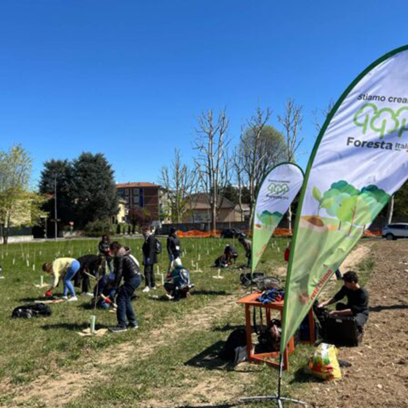 Gewiss partecipa al nuovo bosco urbano di Nova Milanese