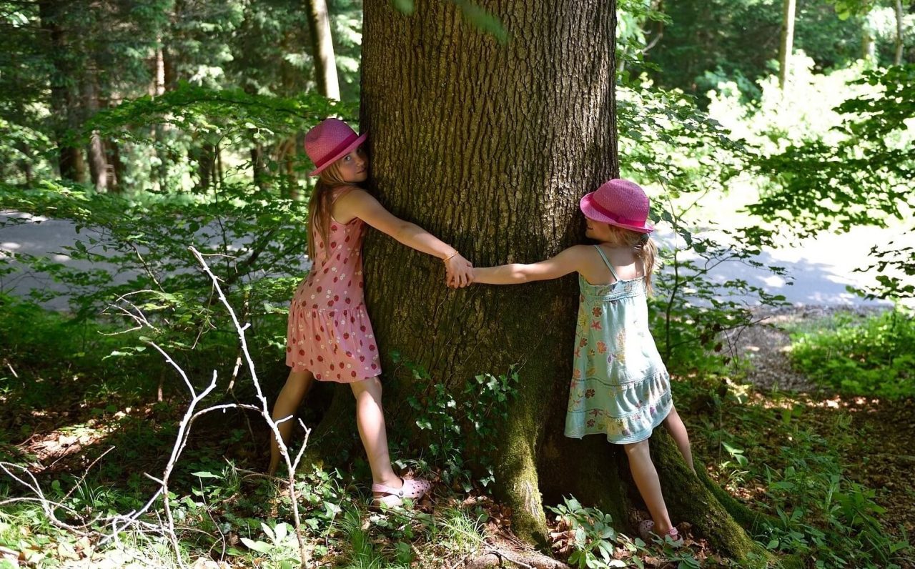 21 Novembre: Giornata nazionale degli Alberi e Festa dell’Albero