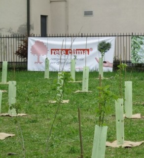 Un albero per ogni nato (e Giornata nazionale dell’albero – Legge 10/2013)