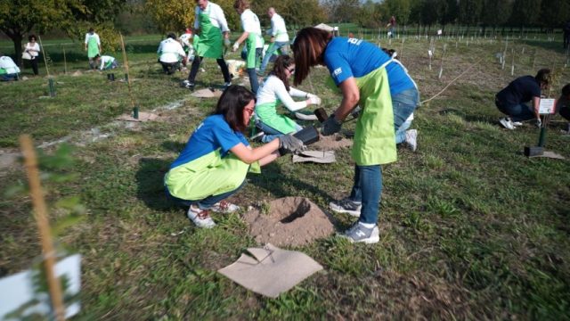 Forestazione urbana: alberi a Milano