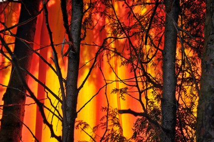 Incendi estivi 2012 in Italia: i dati del Corpo Forestale indicano un +93%