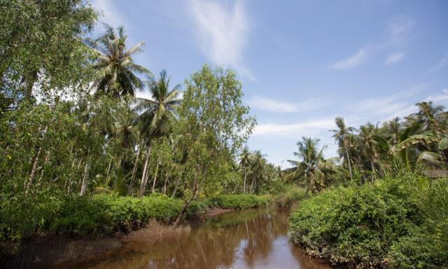Katingan Restoration and Conservation Project