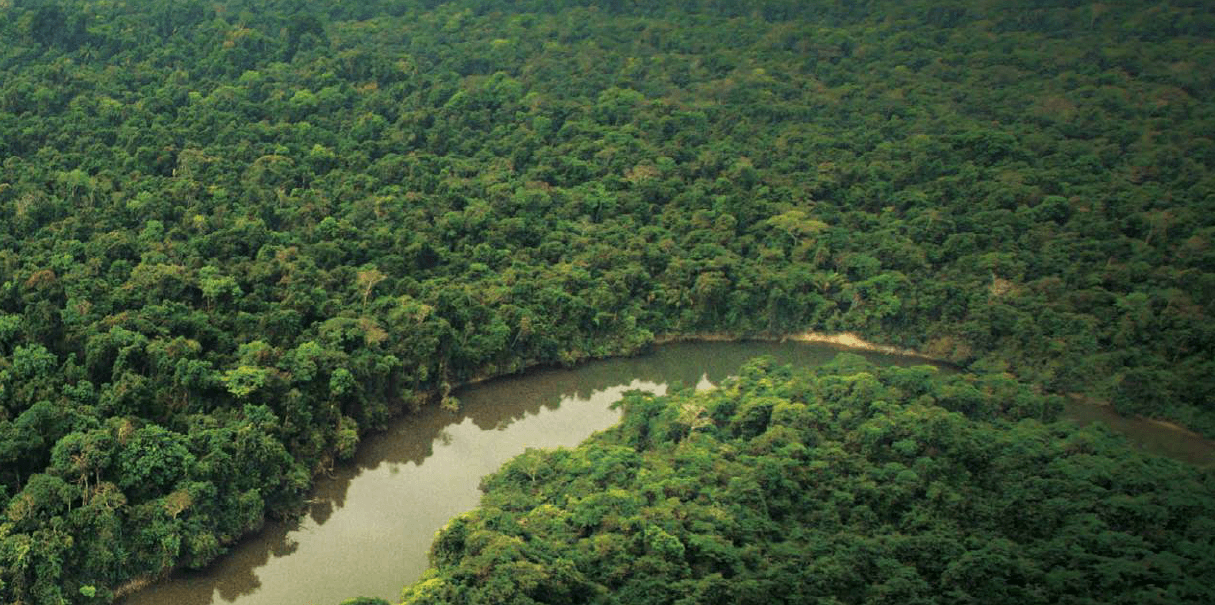 crediti-carbonio-foreste