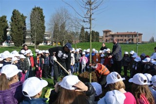 Alberi a scuola: meno CO2 e mense più verdi