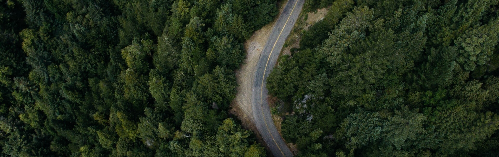 Dalla strada al bosco