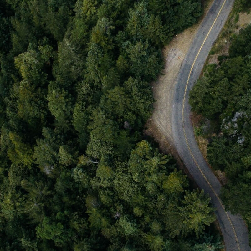 Dalla strada al bosco