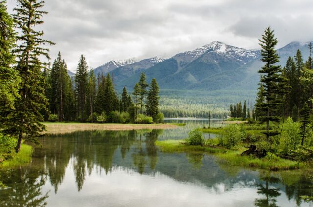 Nature Positive® Strategy (NPS): le Aziende agiscono per la tutela della natura e della biodiversità
