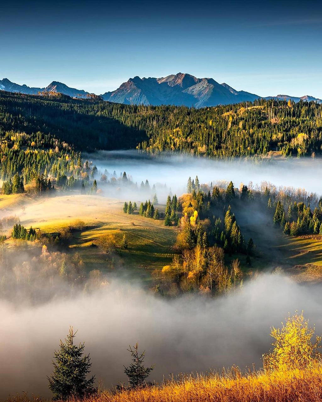 Nature Positive