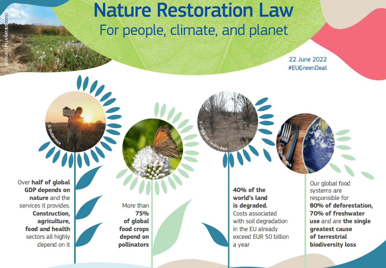 Nature restoration law: la proposta della Commissione EU per il ripristino della natura