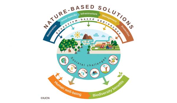 nature-based-solutions