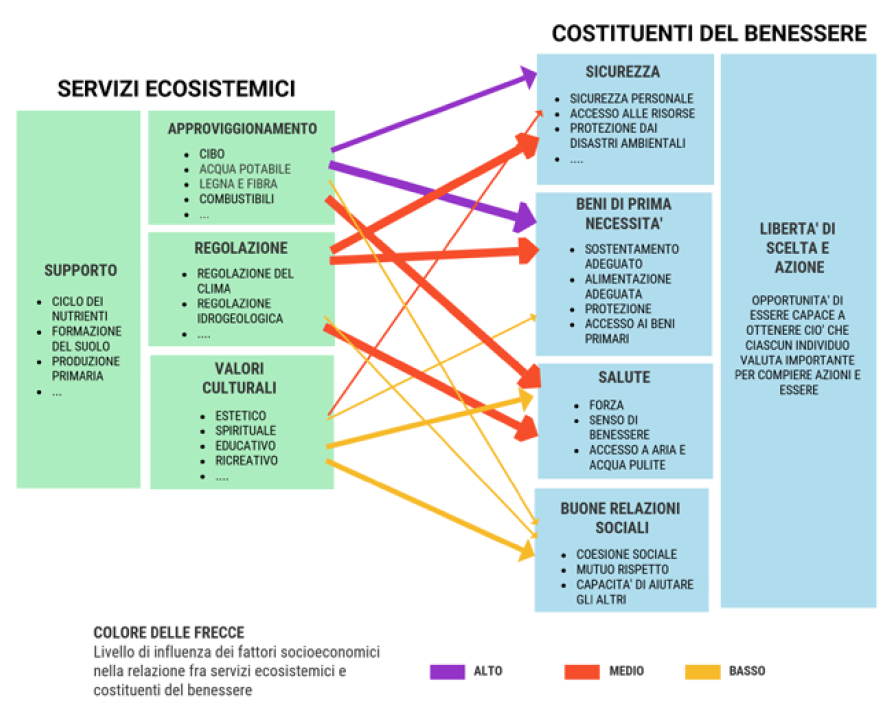 biodiversità-servizi-ecosistemici