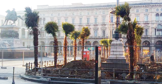 Giusto o sbagliato piantare palme in Piazza Duomo a Milano? Noi stiamo dalla parte degli alberi in città