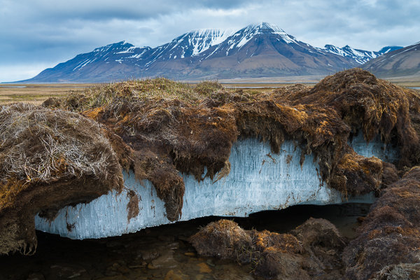 permafrost_tundra