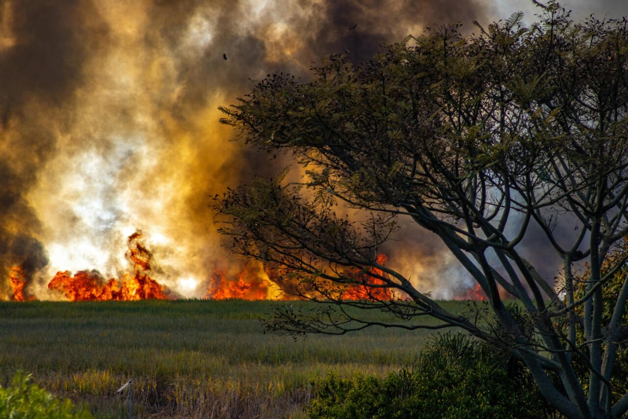 Incendi boschivi Italia