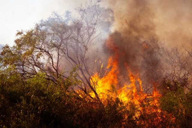 Incendi boschivi in Italia: nel 2025 già bruciati oltre 30.000 ettari di territorio