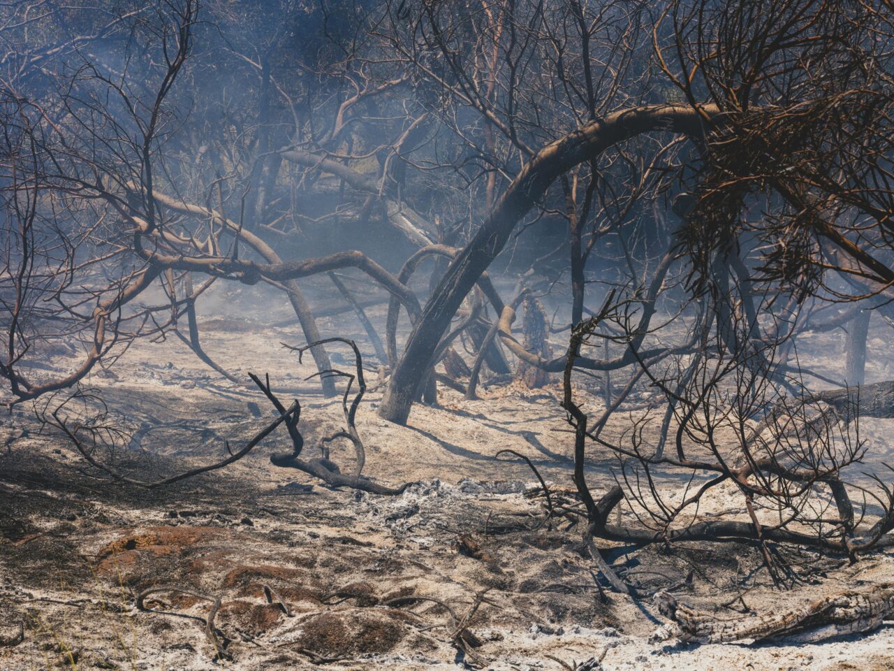 Incendi in Italia