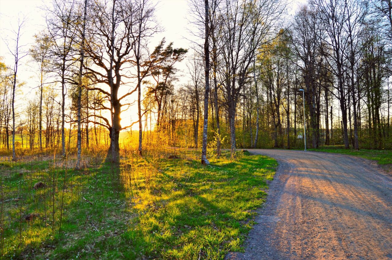 Città, ecosistemi e biodiversità