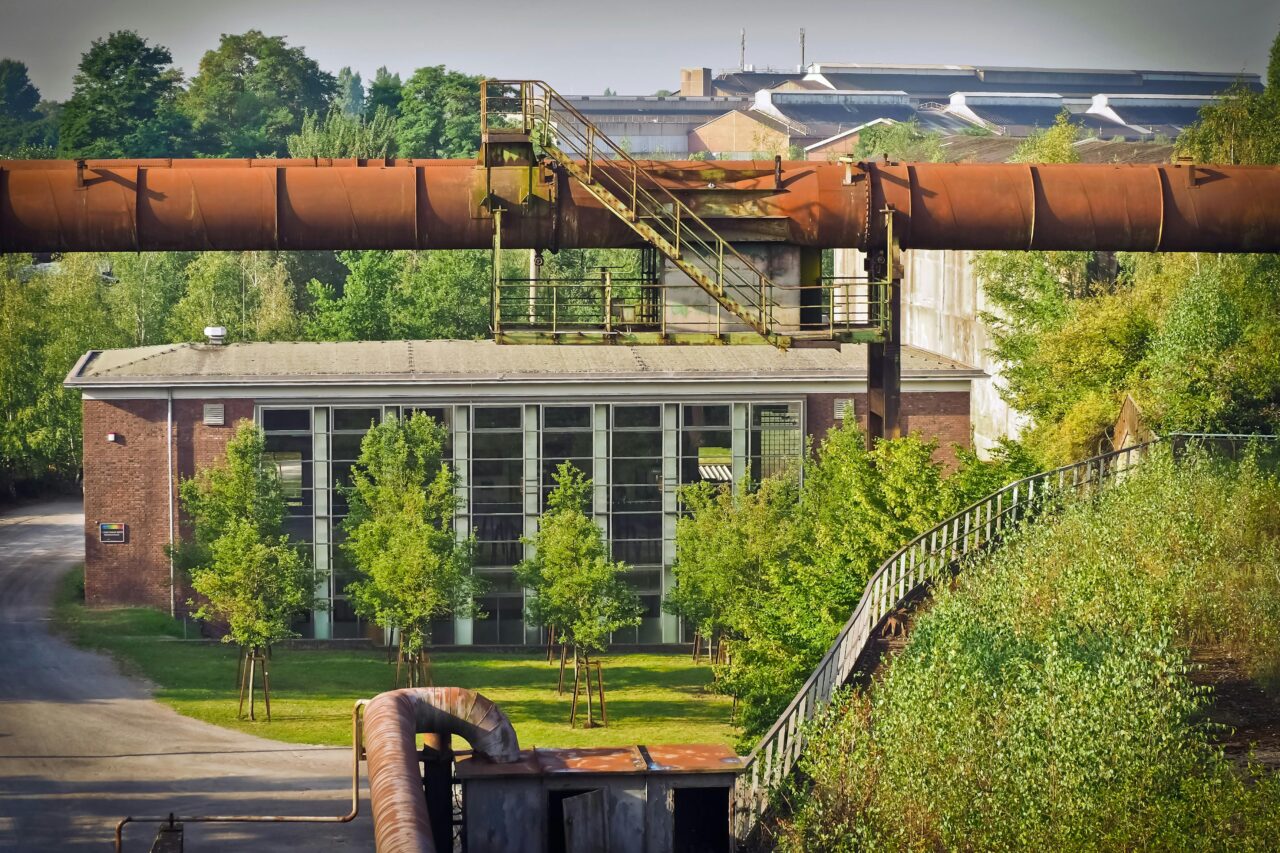 (AI) L’AI aiutare la transizione ecologica? Ci ha risposto l’AI di Gemini!