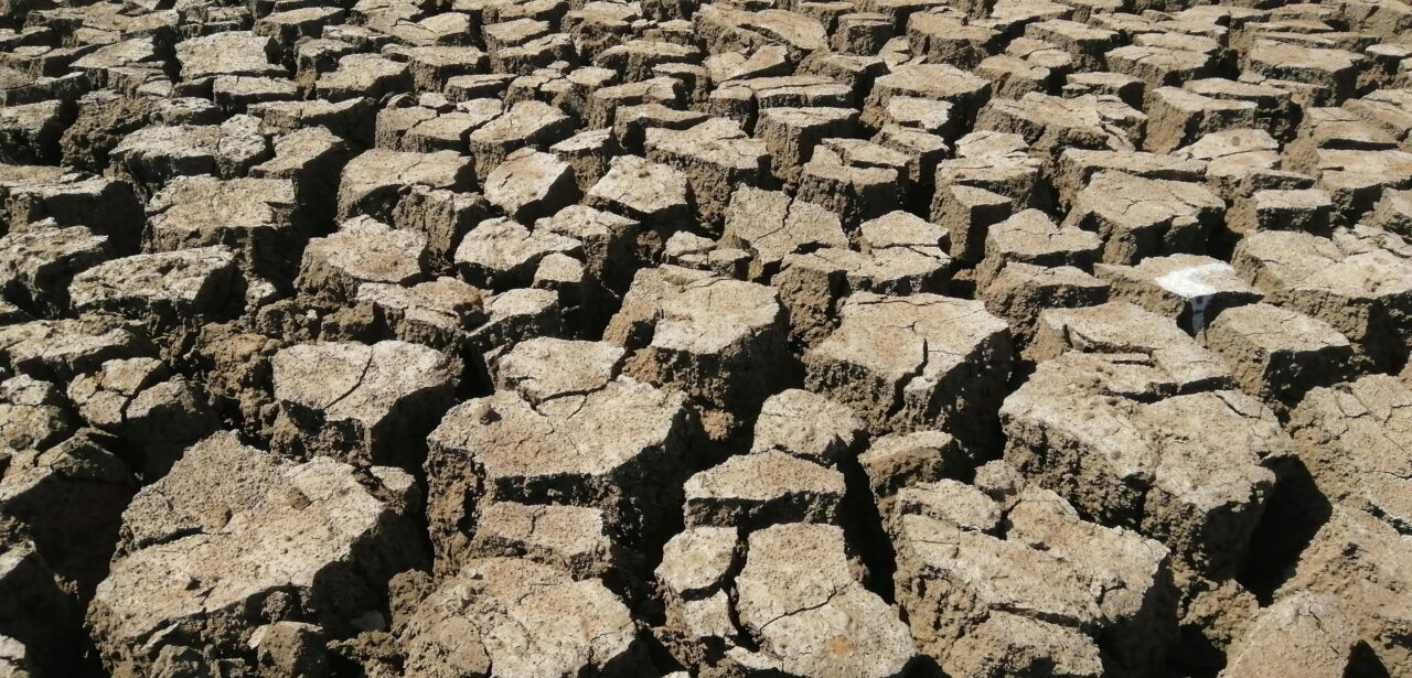 Caldo estremo in Europa