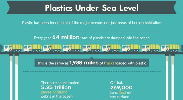 Plastiche e microplastiche in Mari e Oceani: qualche informazione ed una infografica di sintesi