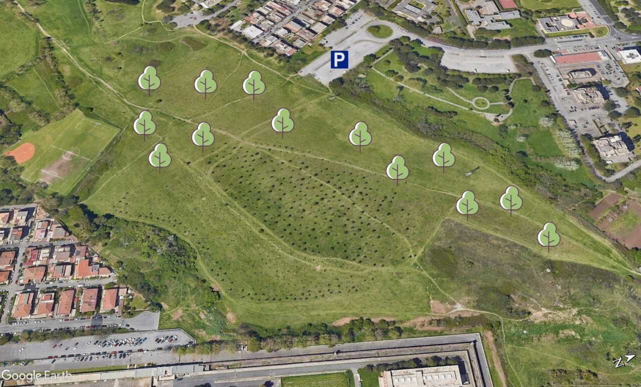 Forestazione 14 aprile 2023 a Roma – mattina: indicazioni geografiche ed operative