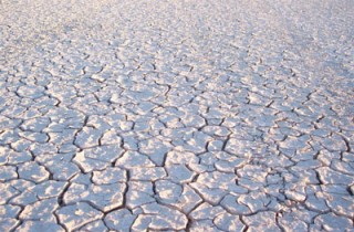 Estate 2012 per l’agricoltura: cambiamenti climatici, siccità, ogm, aflatossine e biocarburanti