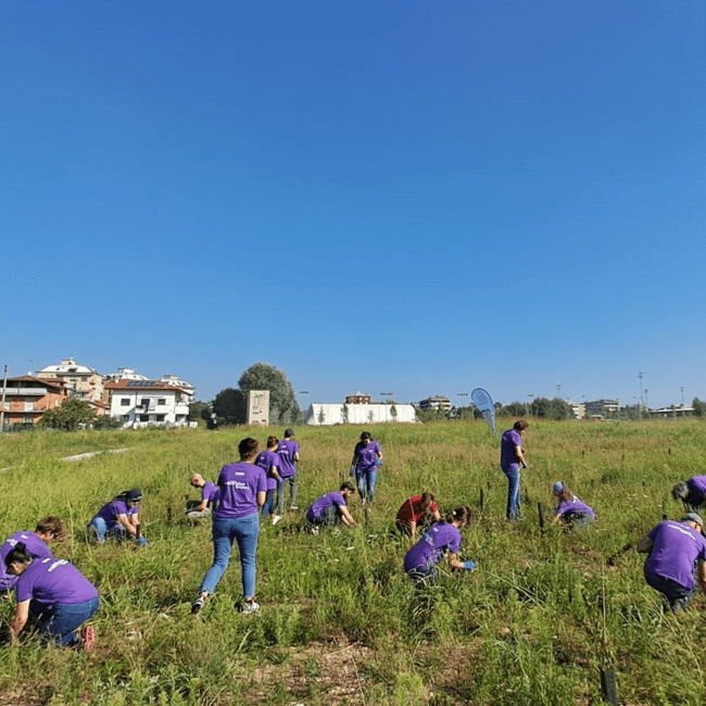 SIEMENS ENERGY - Cura delle foreste