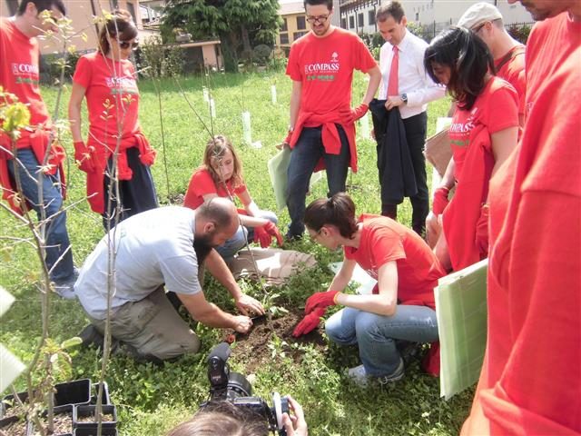 Carbon sink urbano: alberi a Cantù (CO)