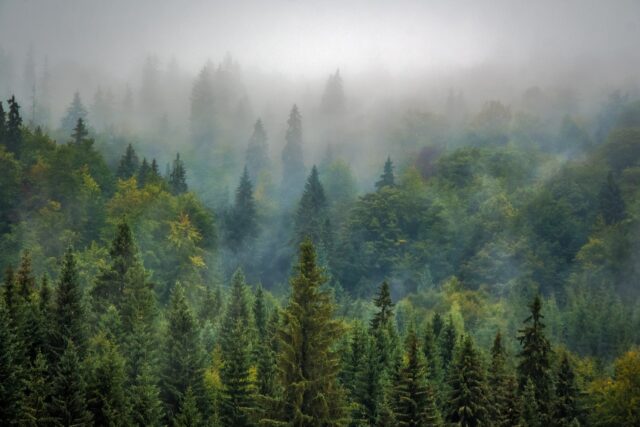 Riforestazione Intesa Sanpaolo del 24 maggio mattina a Livinallongo del Col di Lana (BL): indicazioni geografiche ed operative