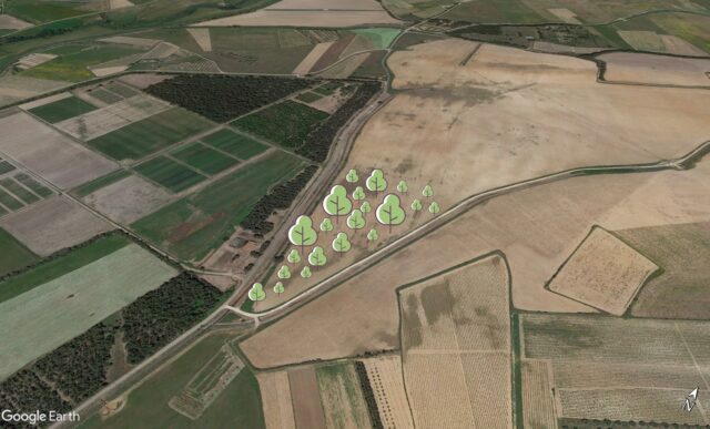 Forestazione CONAD del 6 dicembre 2023 mattina a Ussana (CA): indicazioni geografiche ed operative