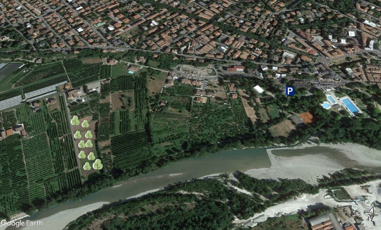 Forestazione 12 aprile 2023 a Vignola: indicazioni geografiche ed operative