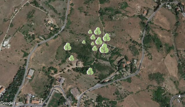 Riforestazione 18 ottobre 2022: indicazioni geografiche ed operative